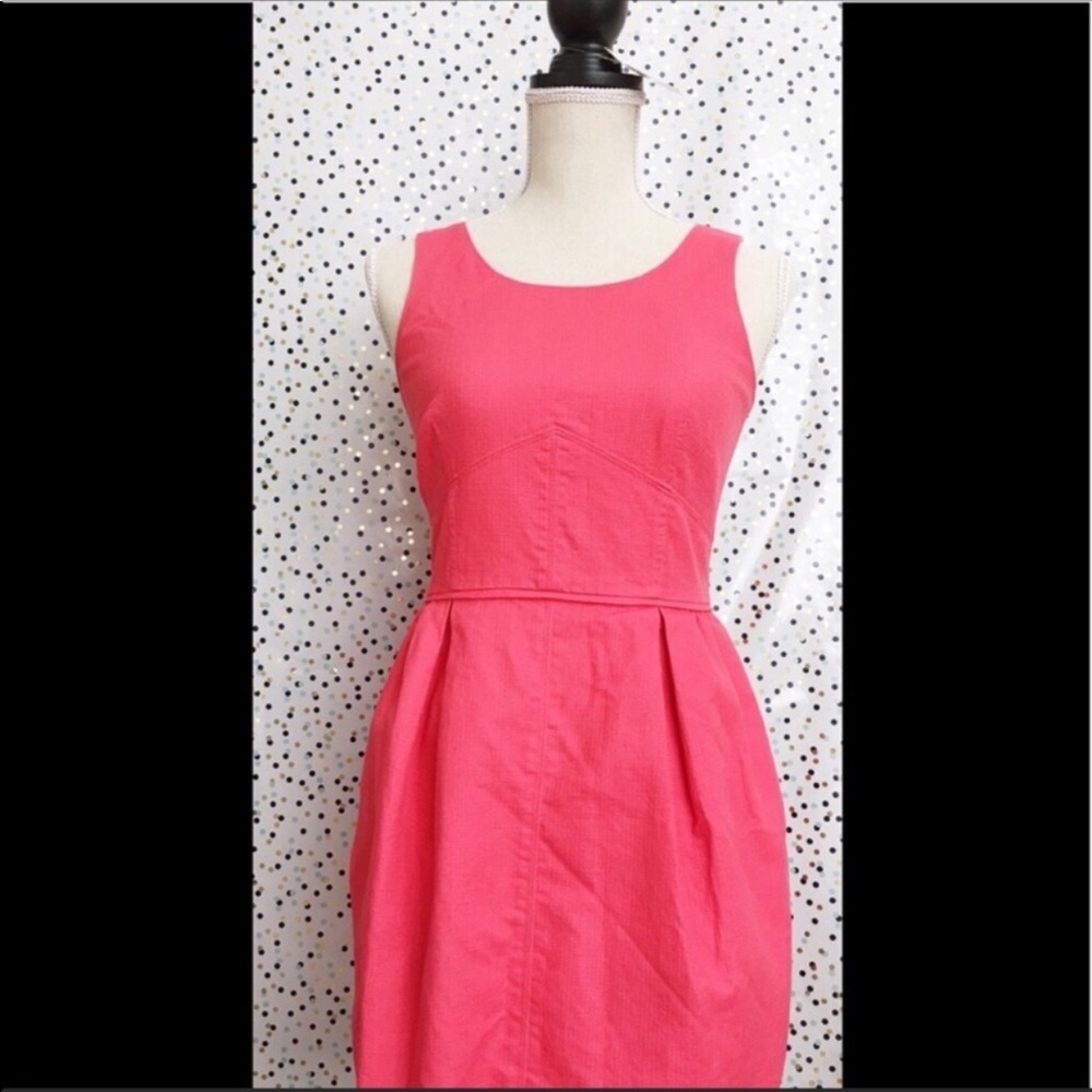 J. Crew Pink Flare Mini Dress